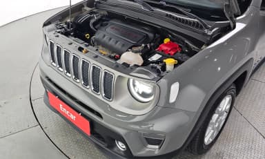 Renegade