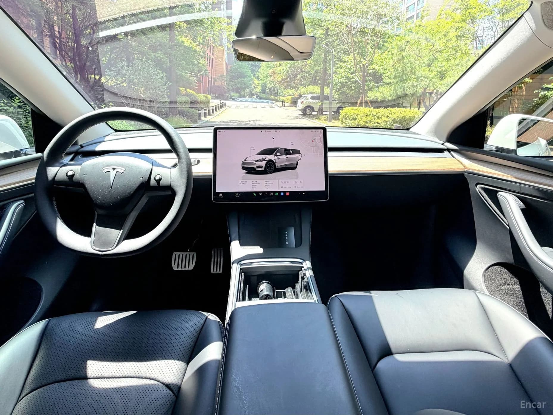 Model Y