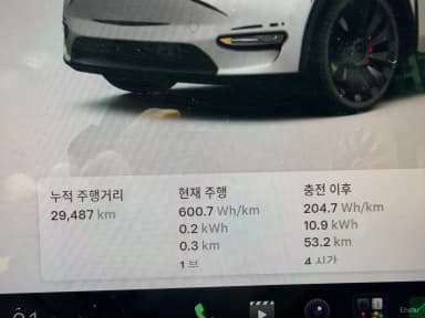 Model Y