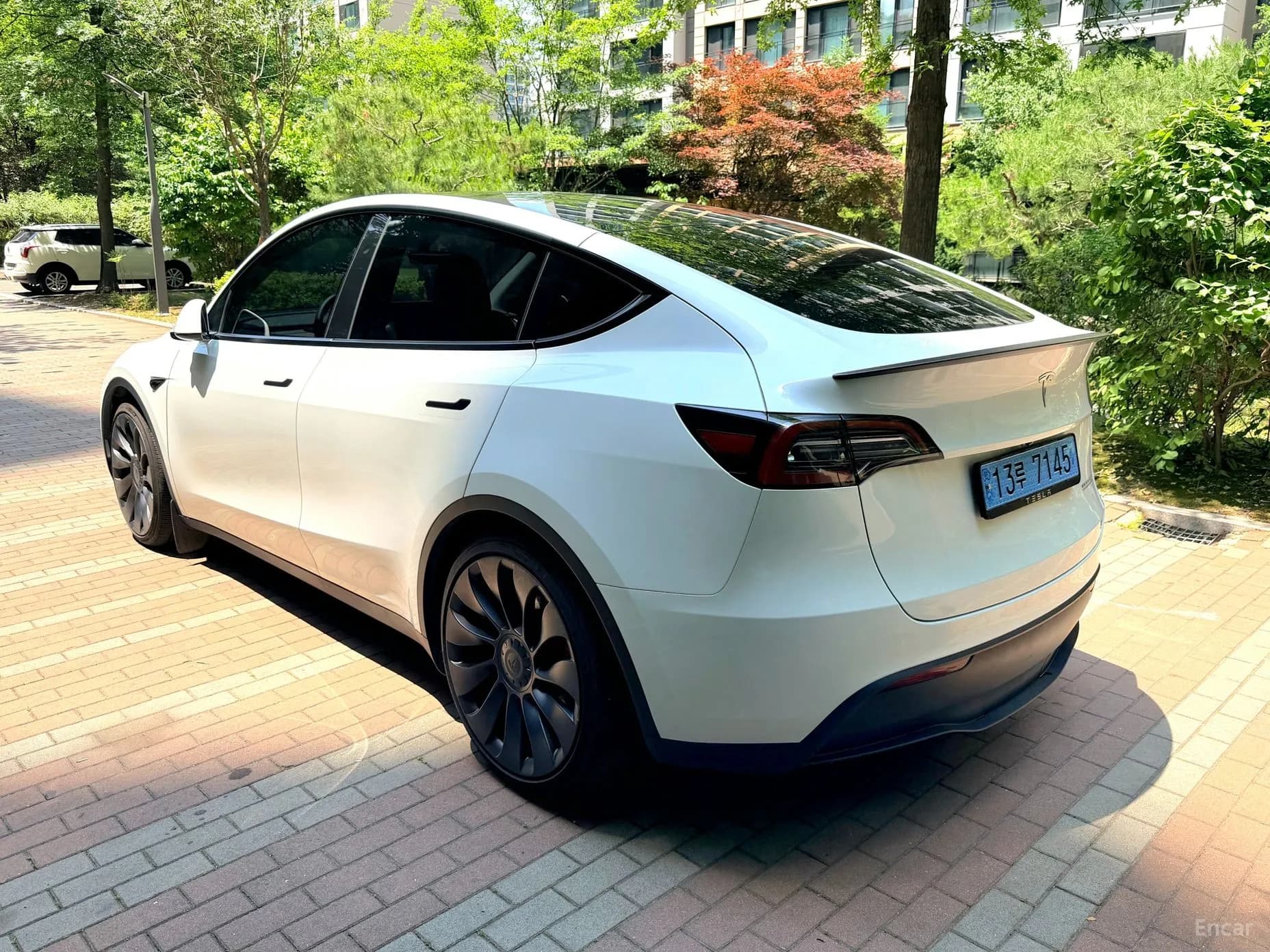 Model Y