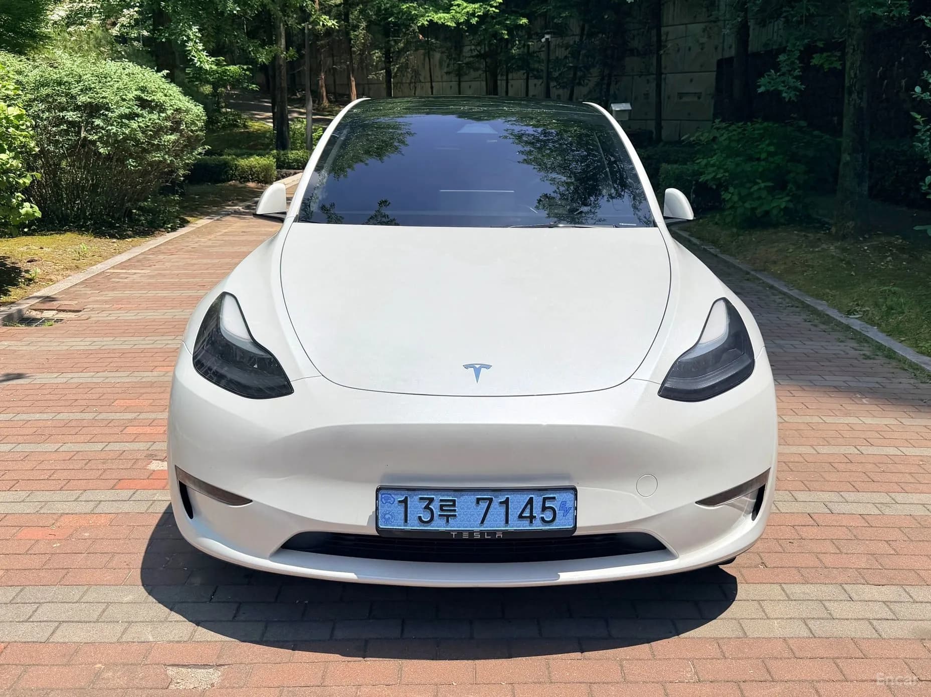 Model Y