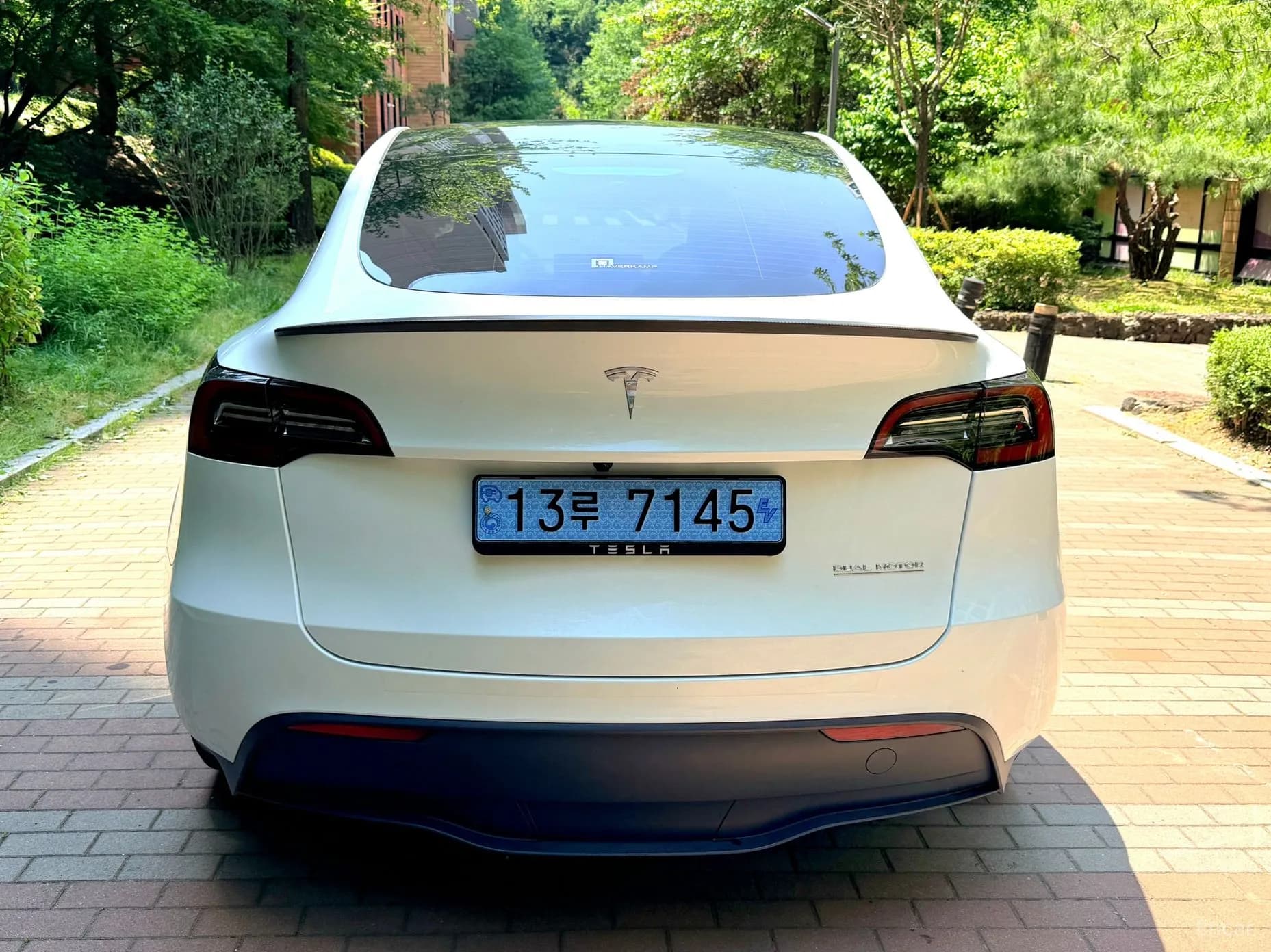 Model Y