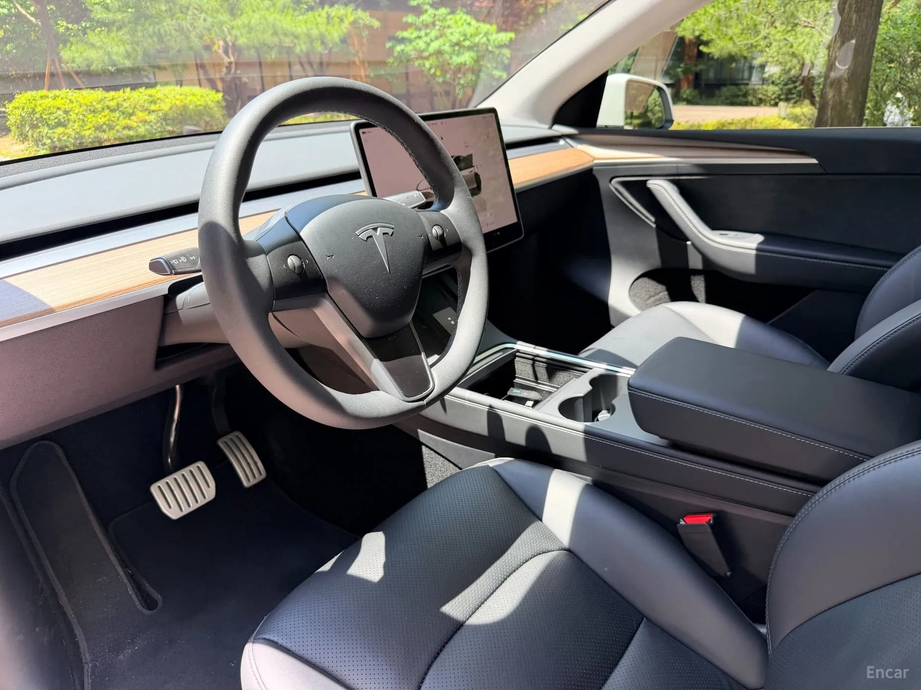 Model Y
