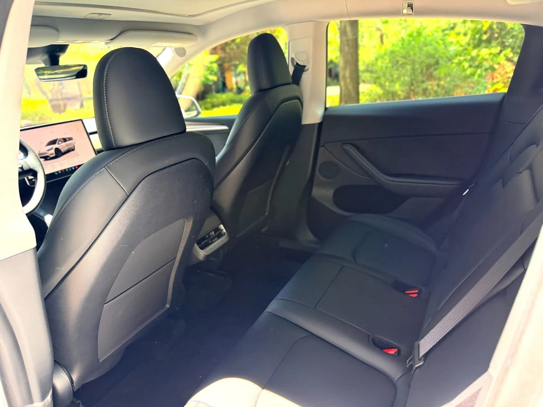 Model Y