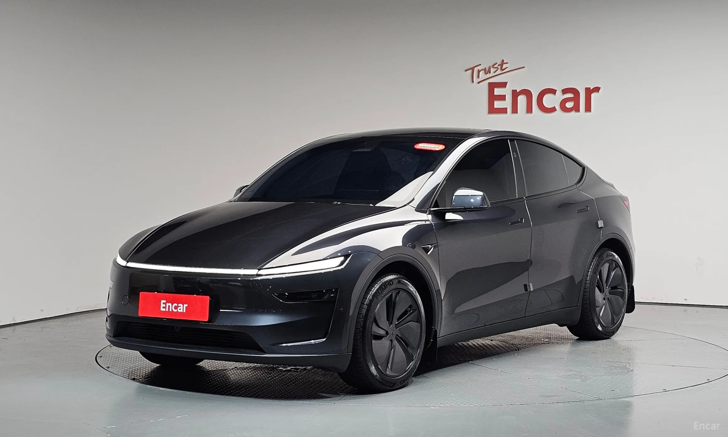 Model Y