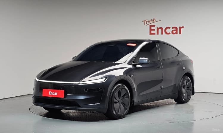 Model Y