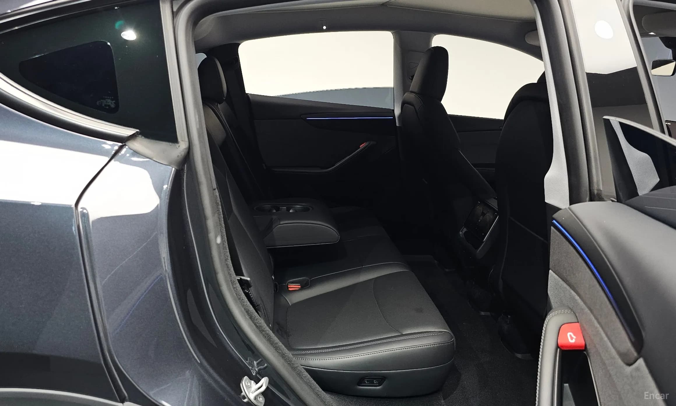 Model Y