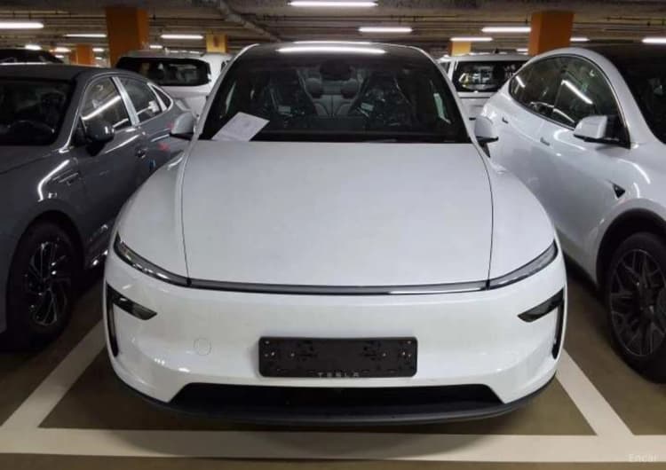 Model Y