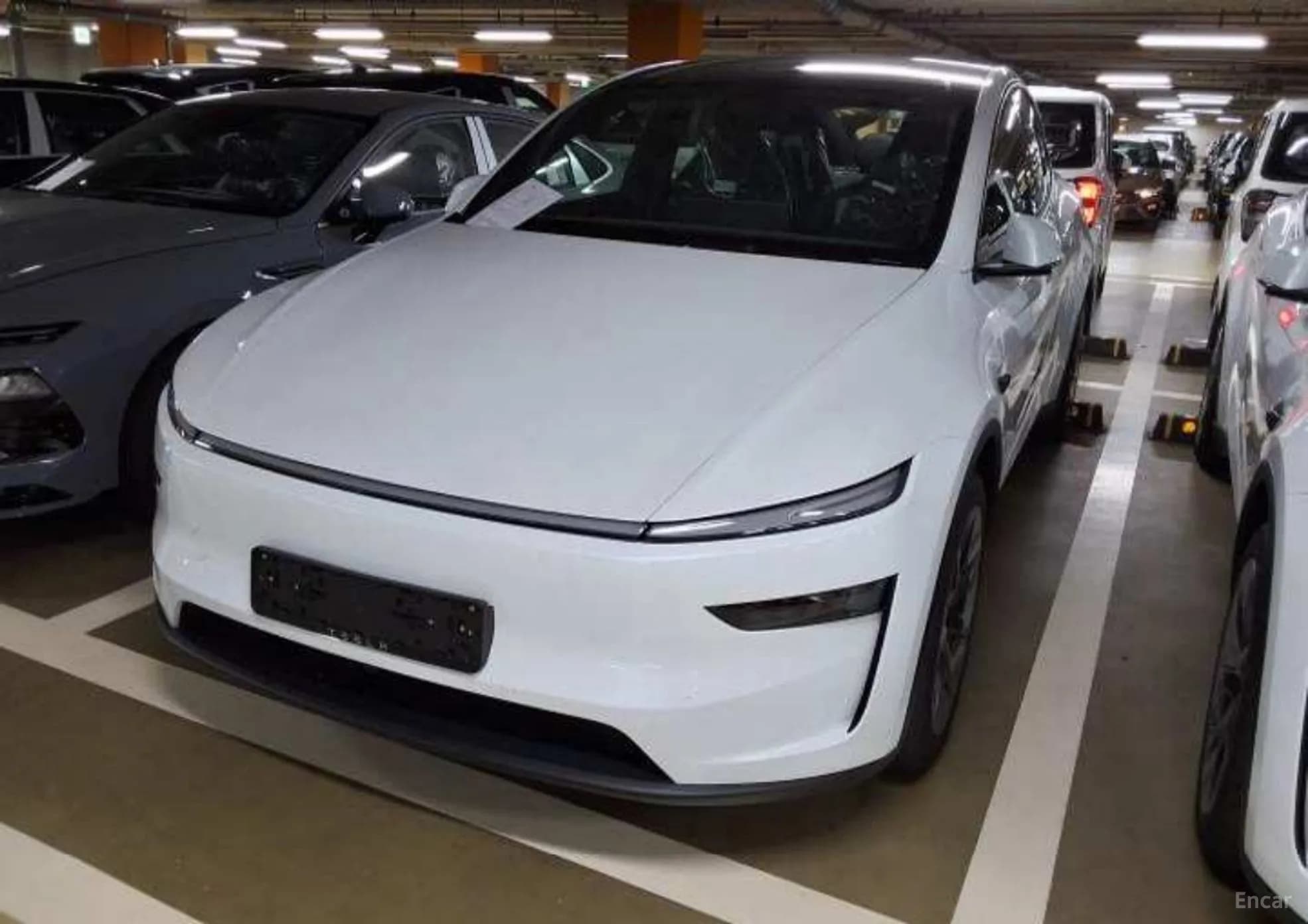 Model Y