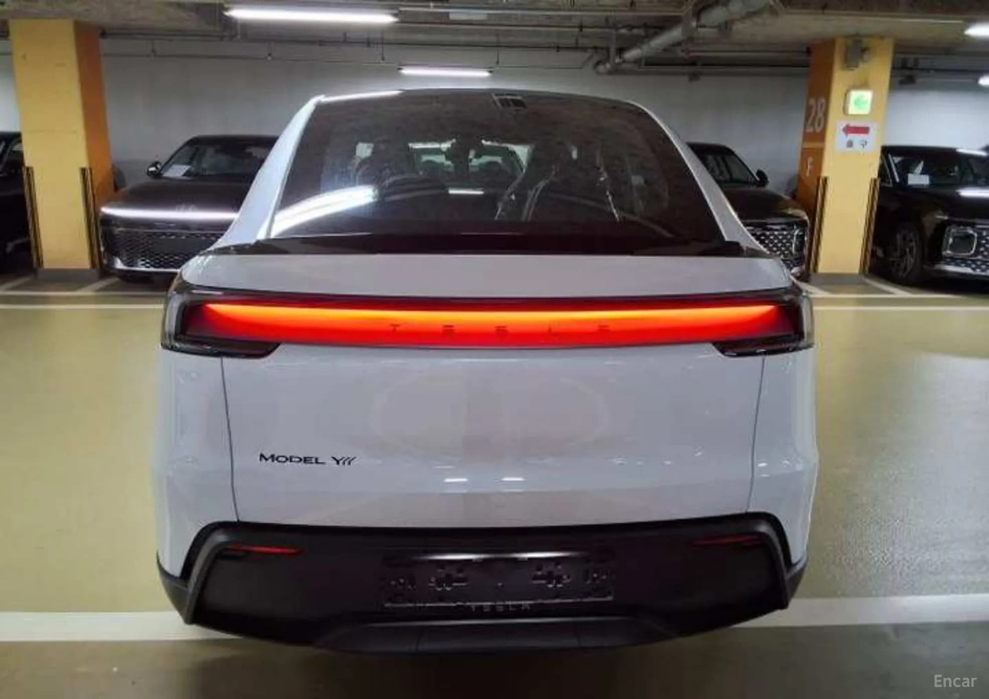 Model Y