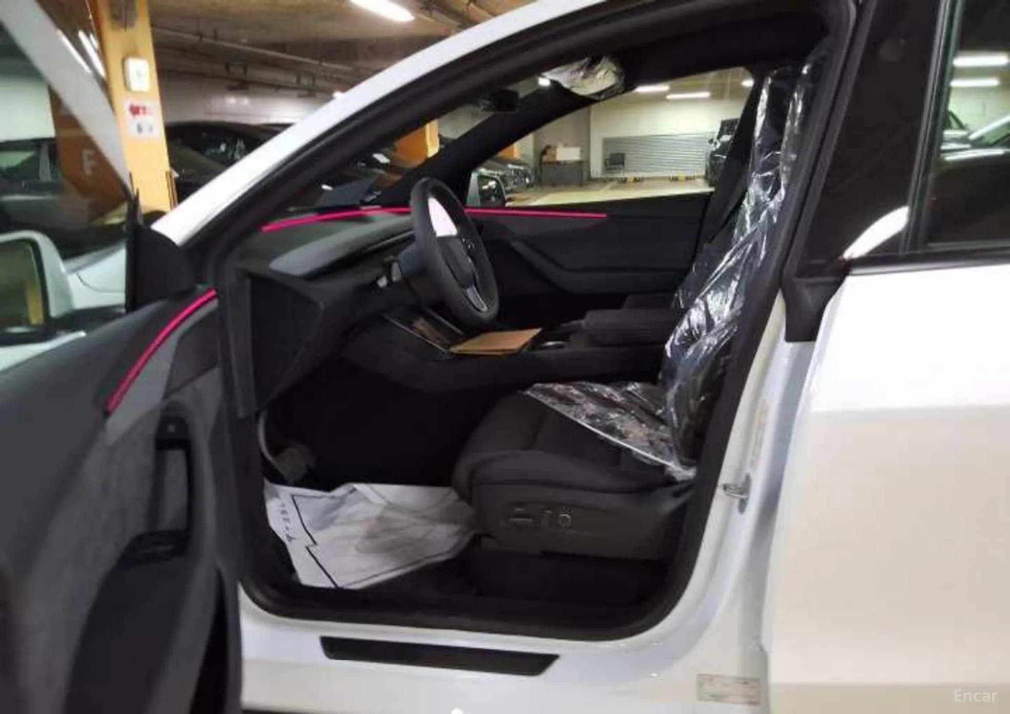 Model Y