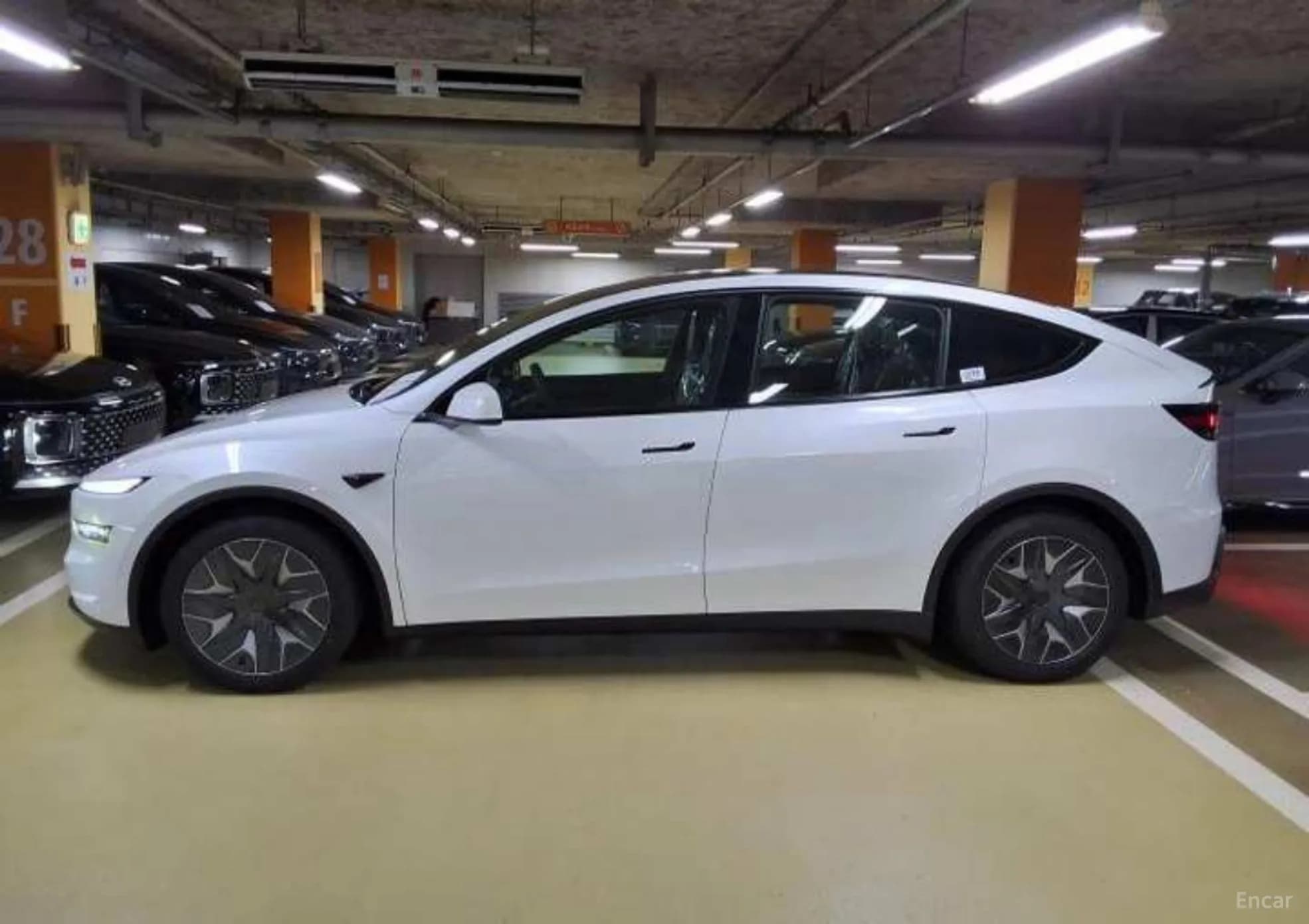 Model Y