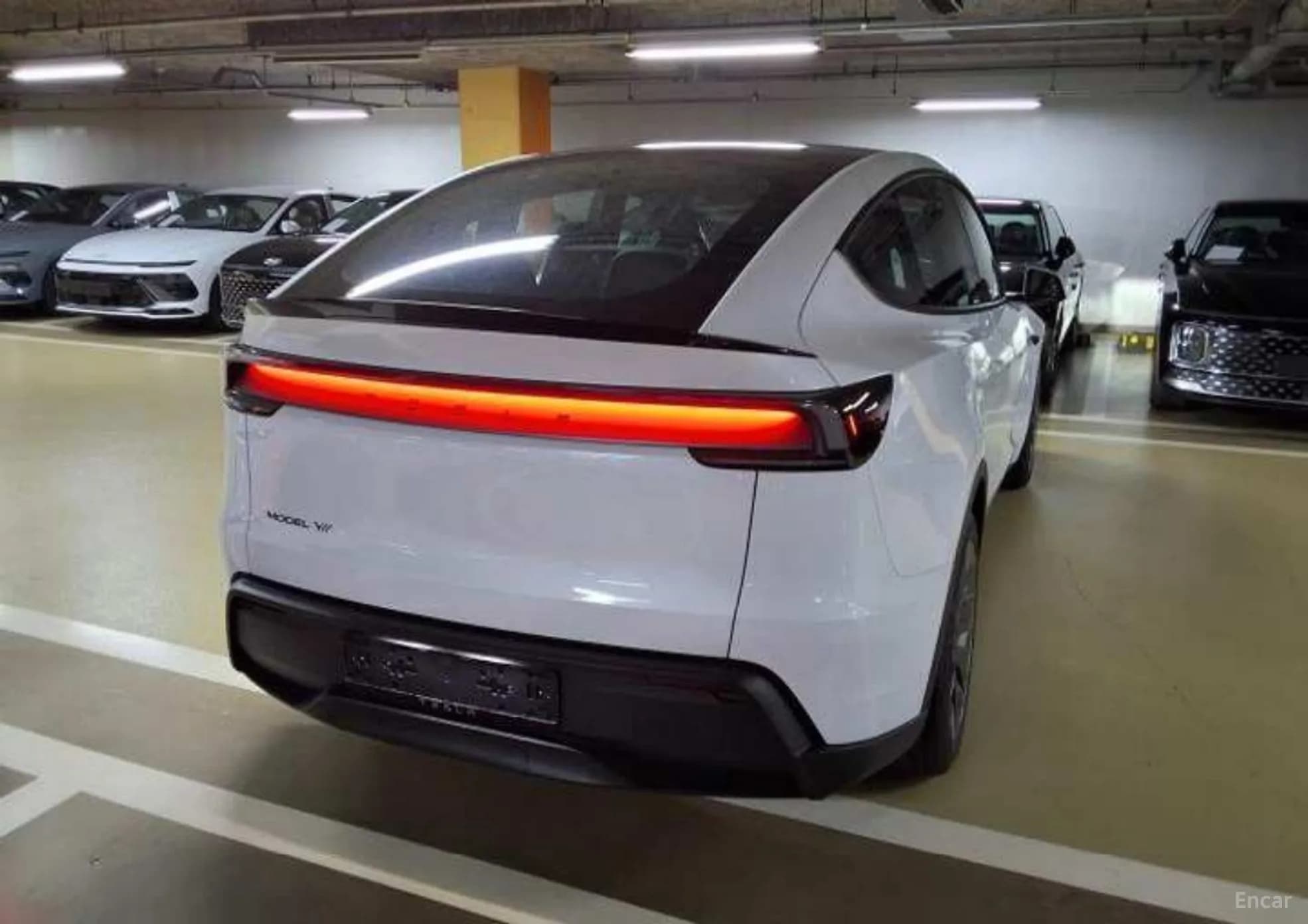 Model Y