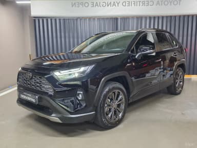 RAV4 5th Generation