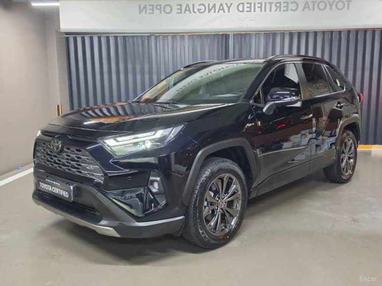 RAV4 5th Generation