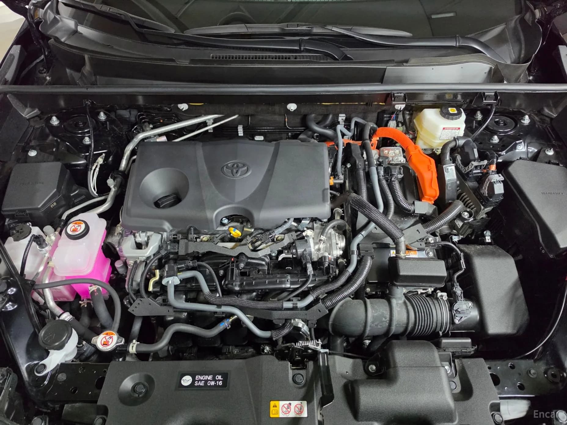 RAV4 5th Generation