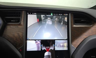 Model X
