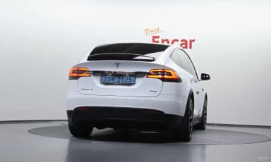 Model X