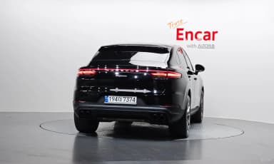 Cayenne (PO536)