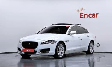 XF (x260)