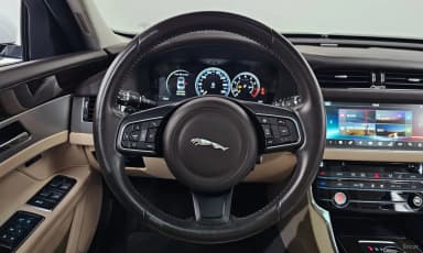 XF (x260)