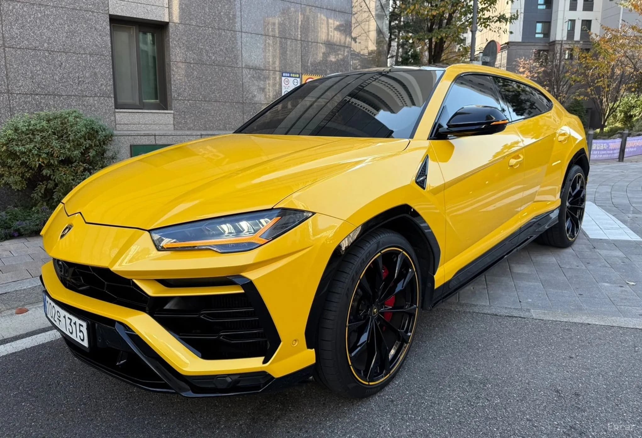 Urus