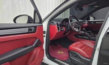 Cayenne (PO536)