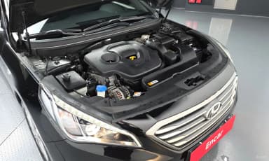 LF Sonata