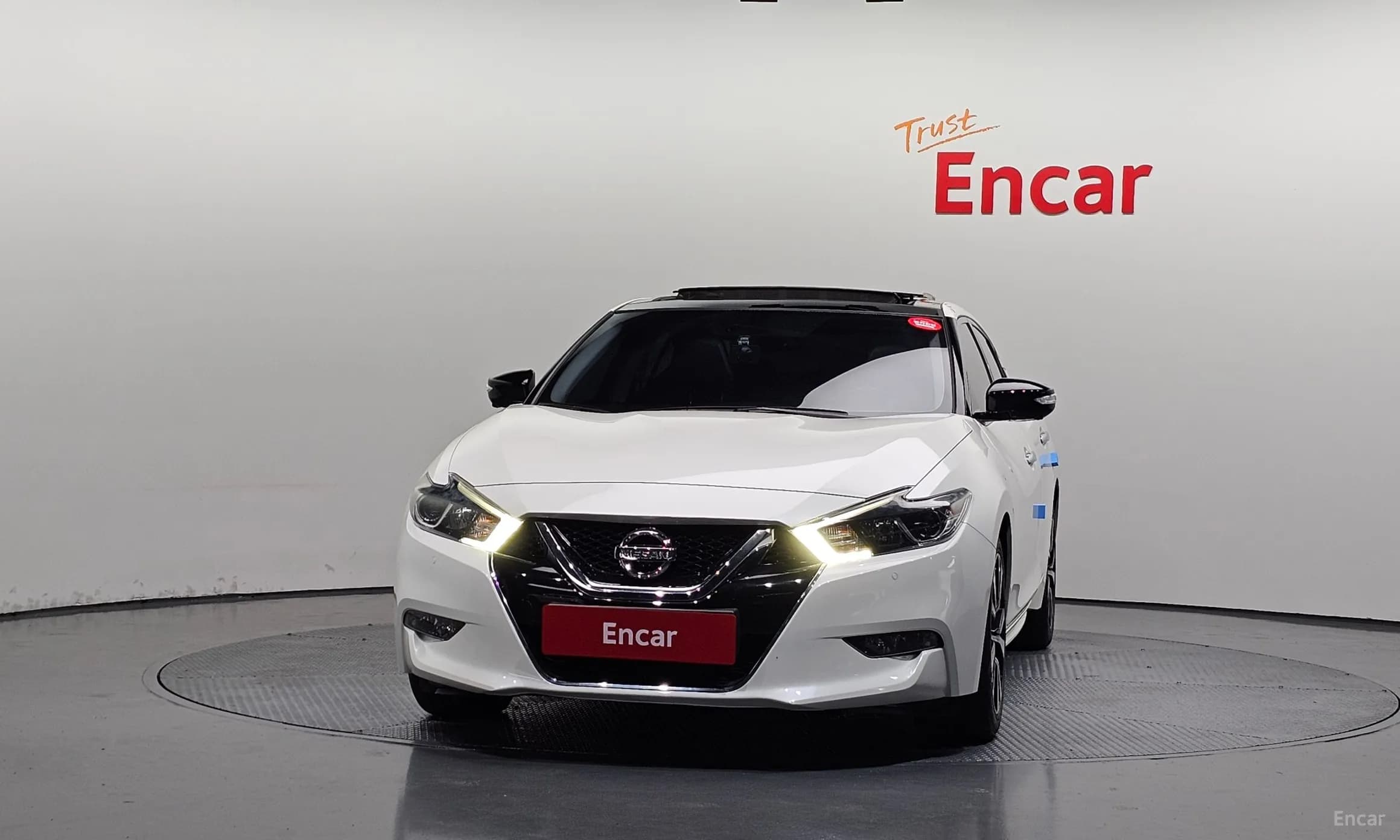 Maxima (A36)