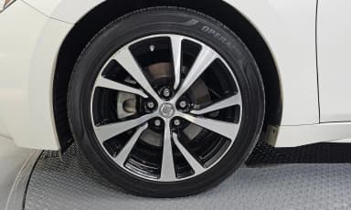 Maxima (A36)