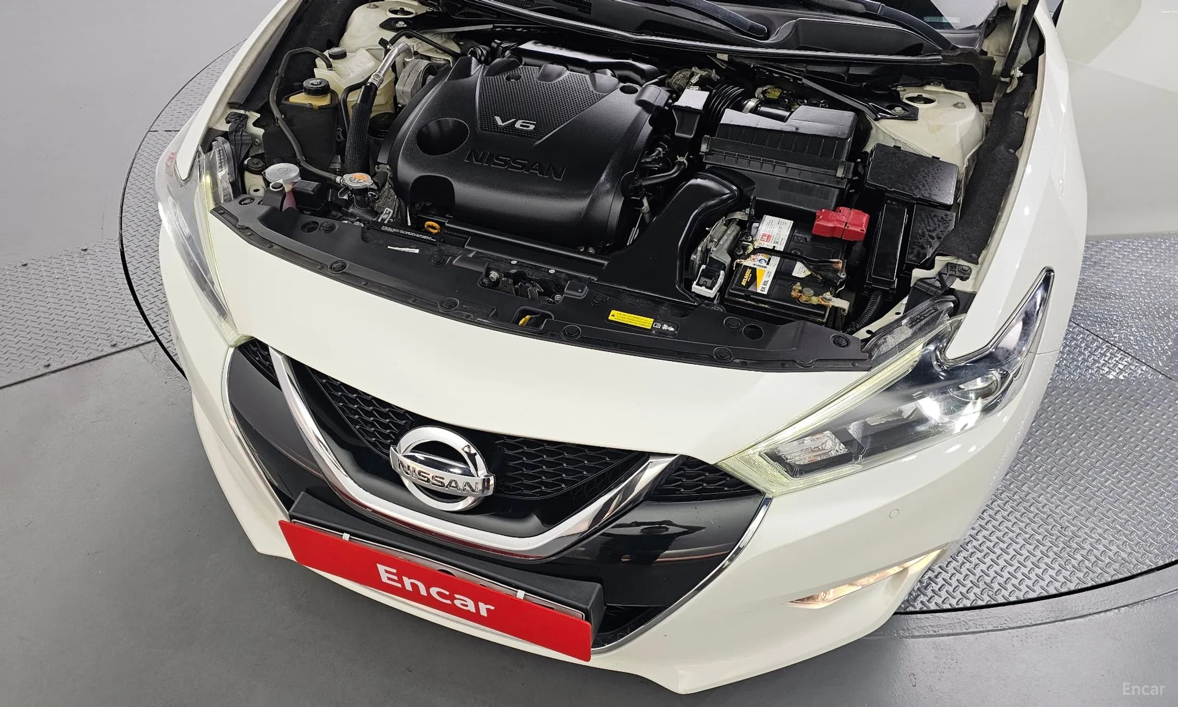 Maxima (A36)