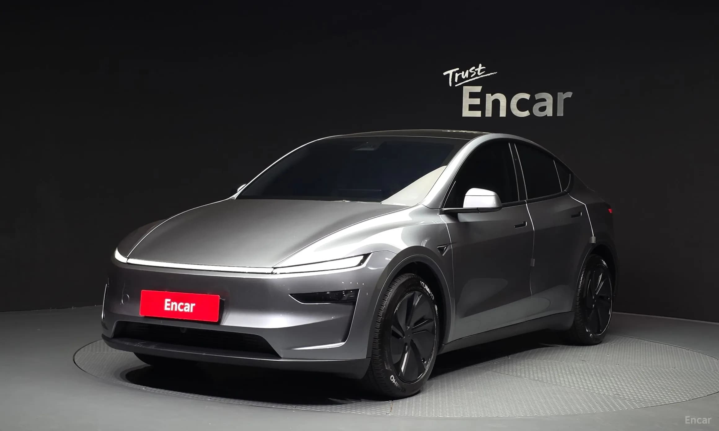 Model Y