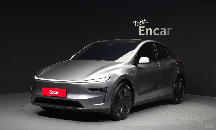 Model Y