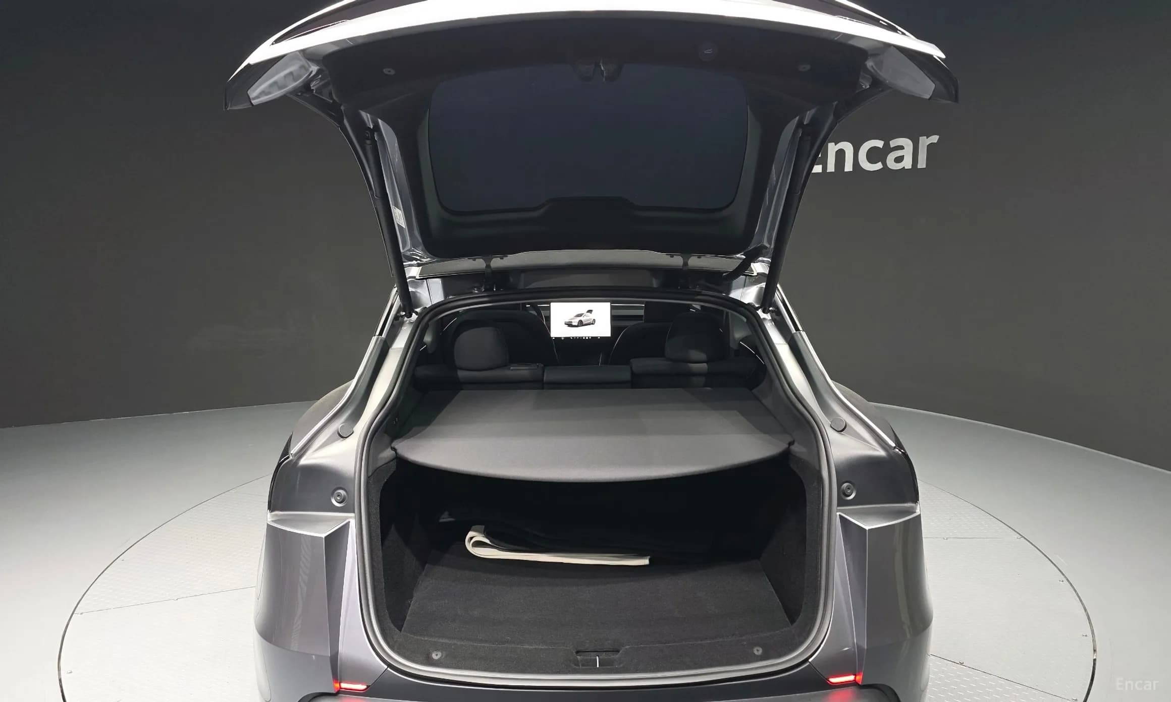 Model Y