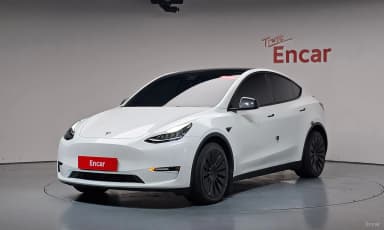 Model Y