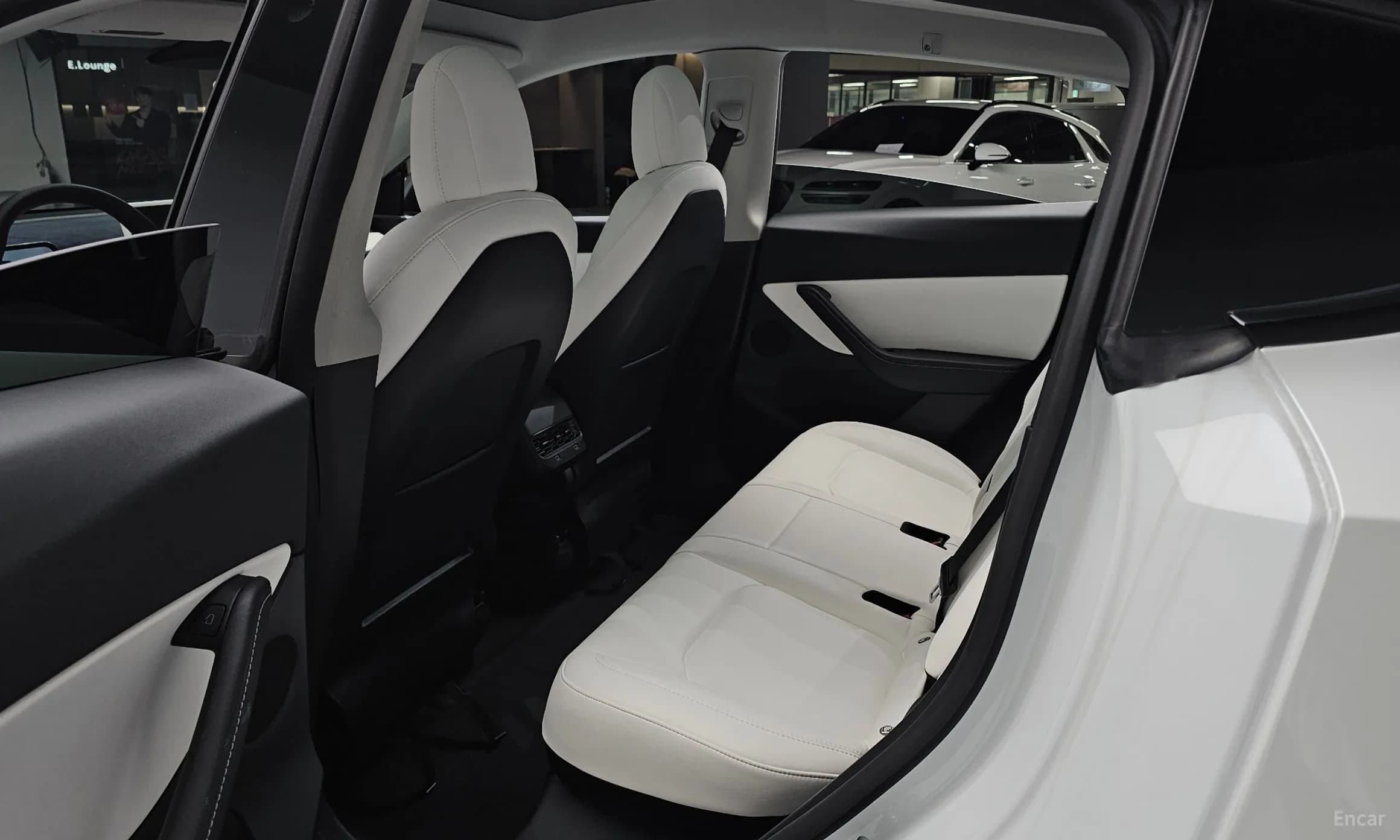 Model Y