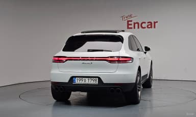Macan