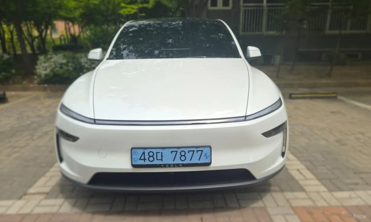 Model Y