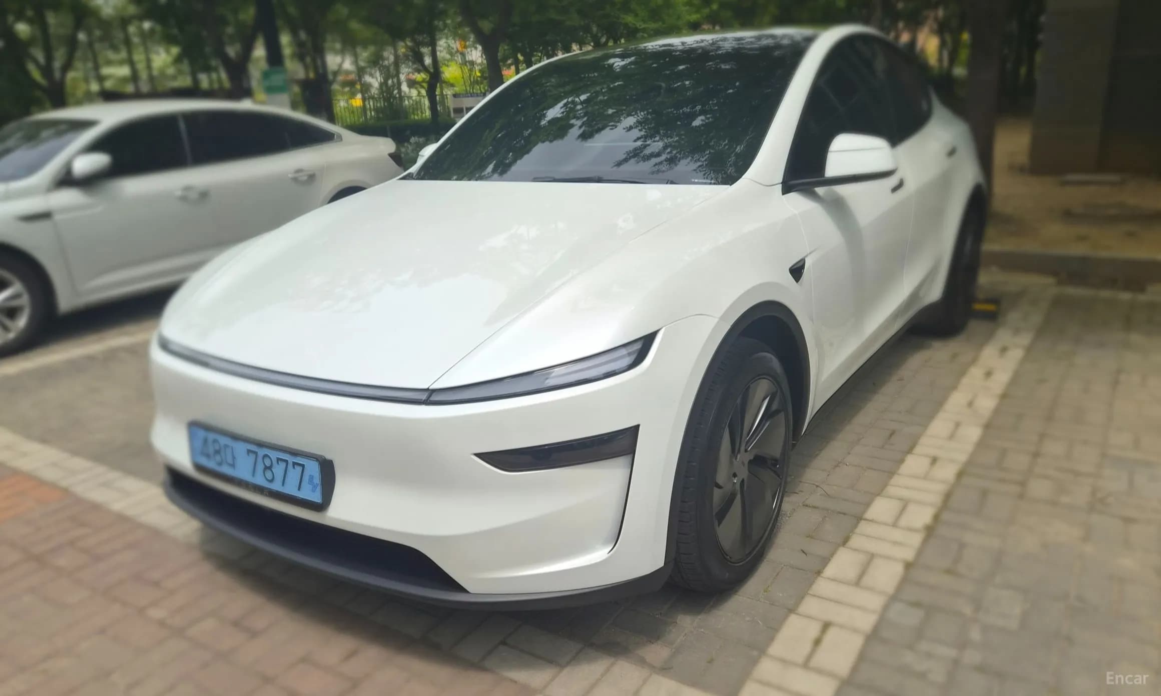 Model Y