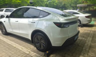 Model Y