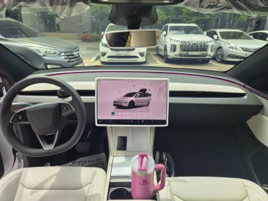 Model Y