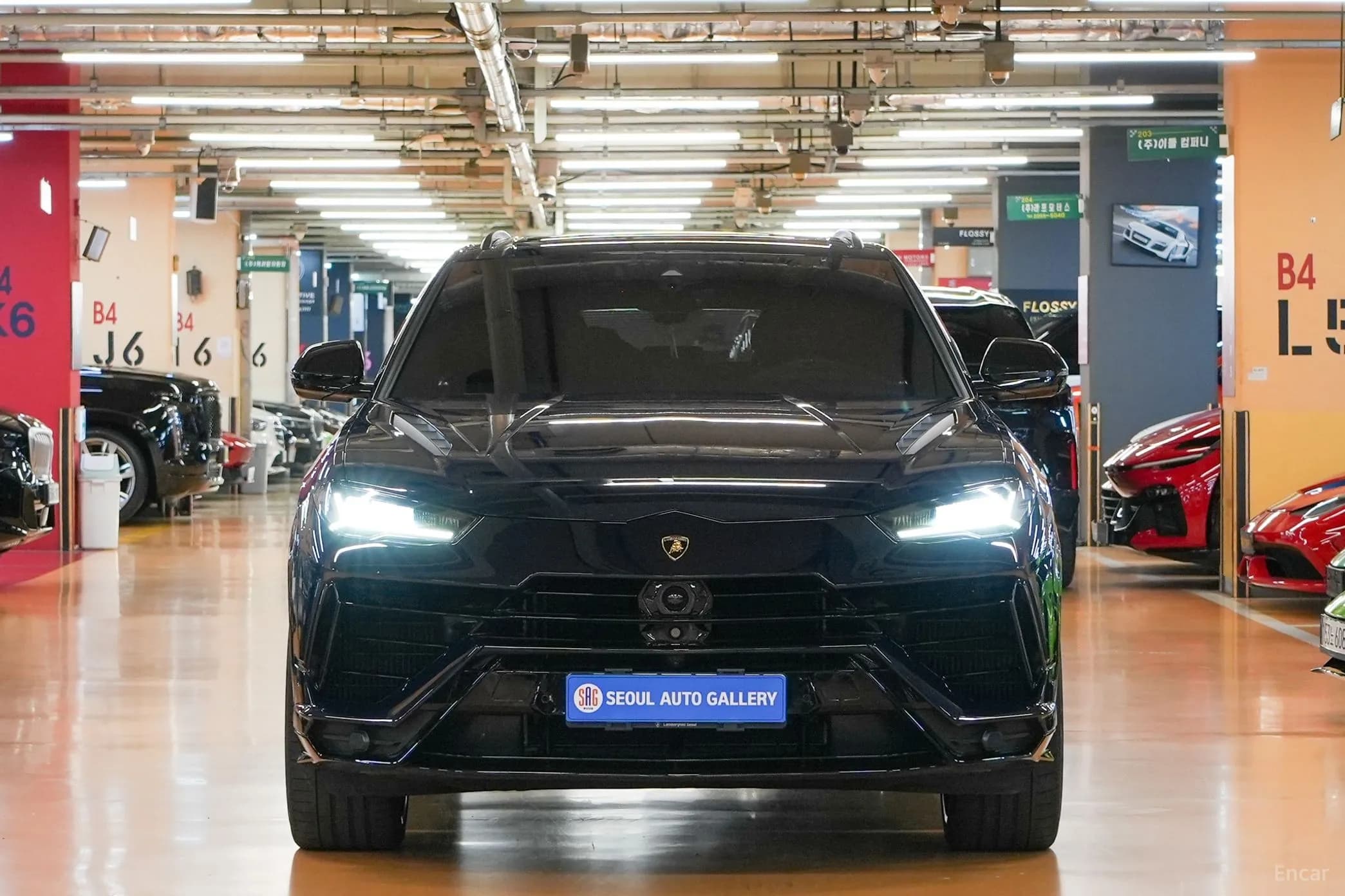 Urus