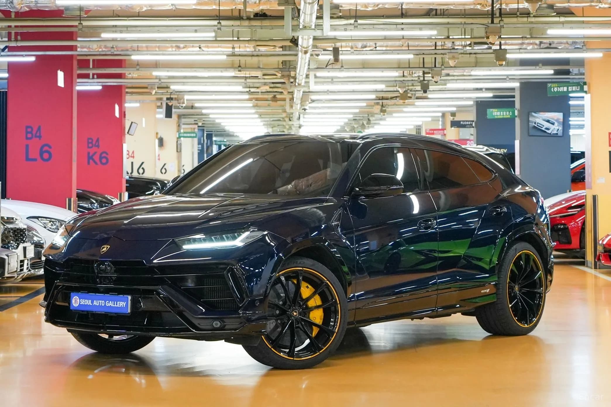 Urus