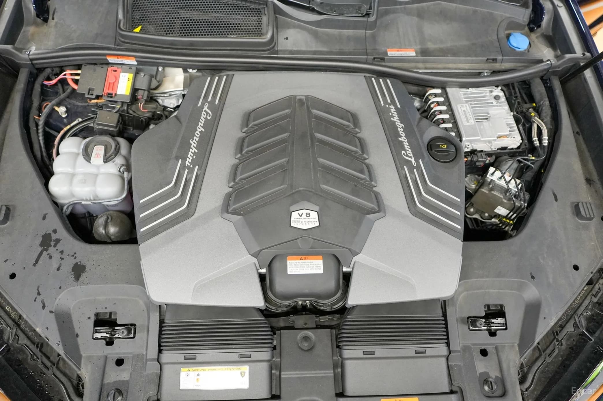 Urus
