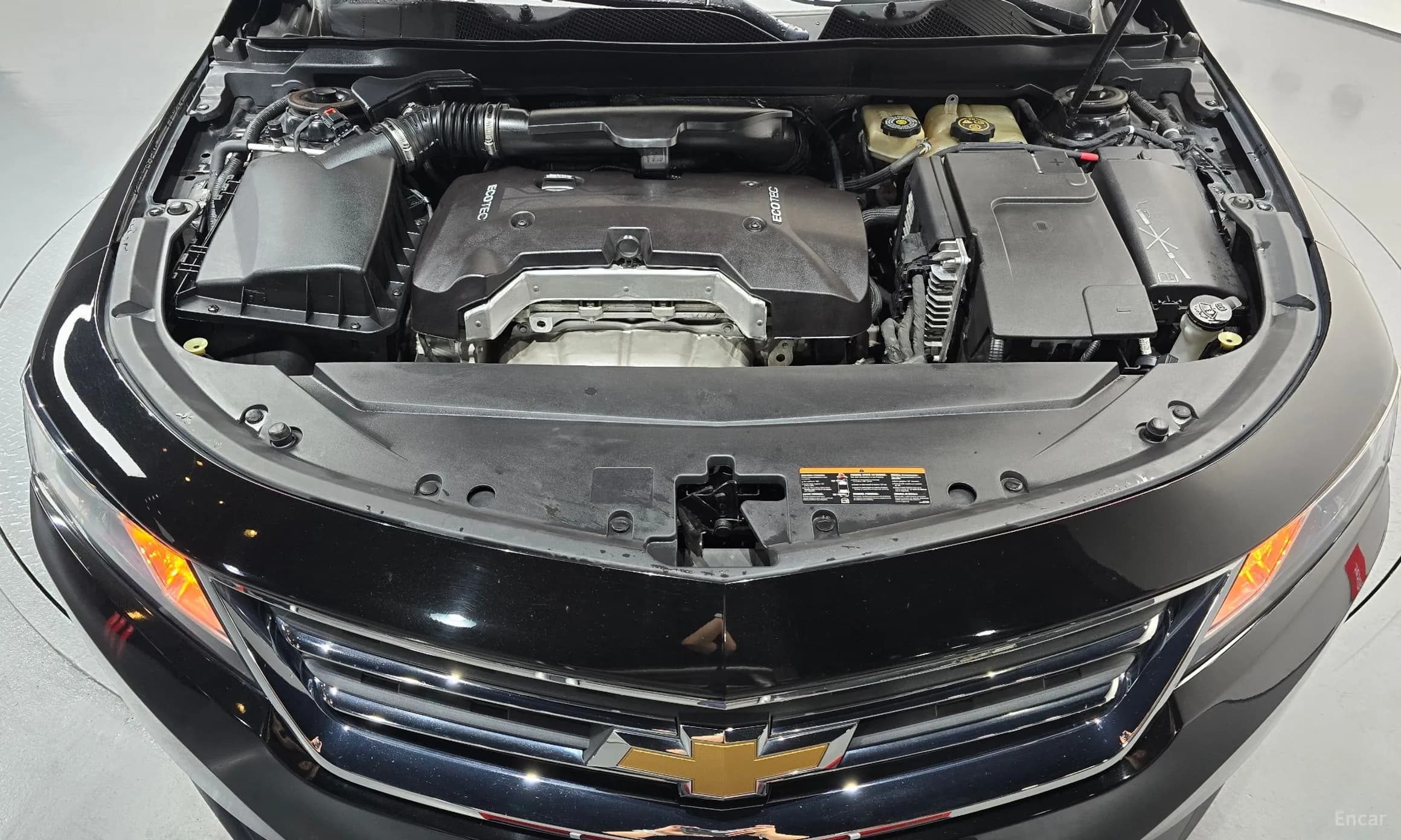 Impala