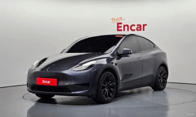 Model Y