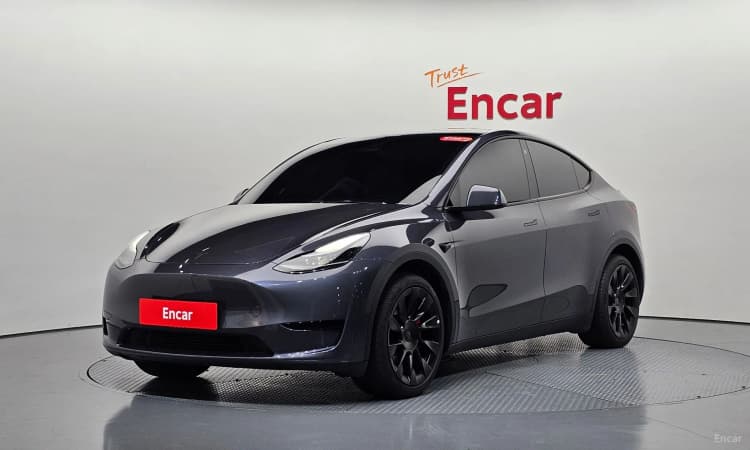 Model Y