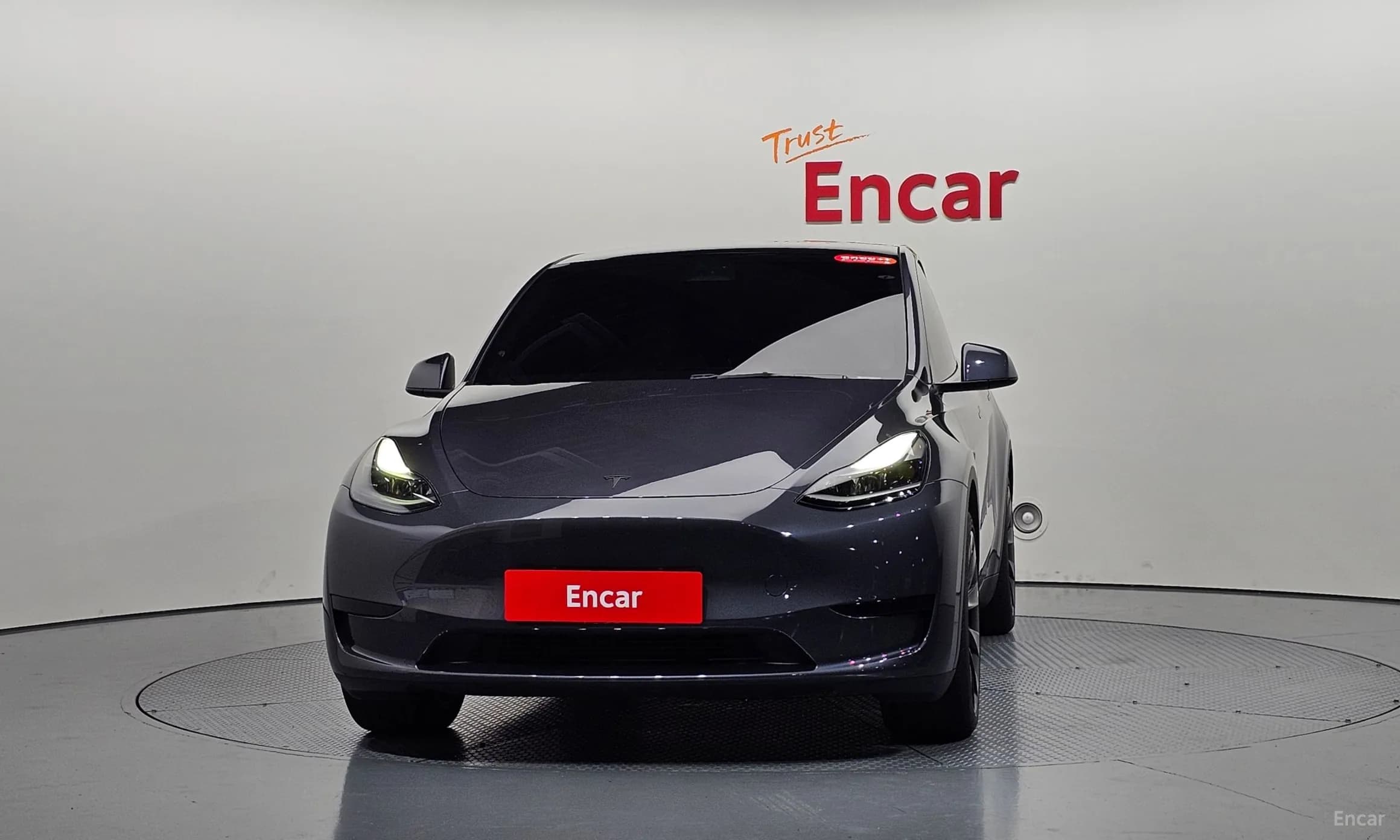 Model Y