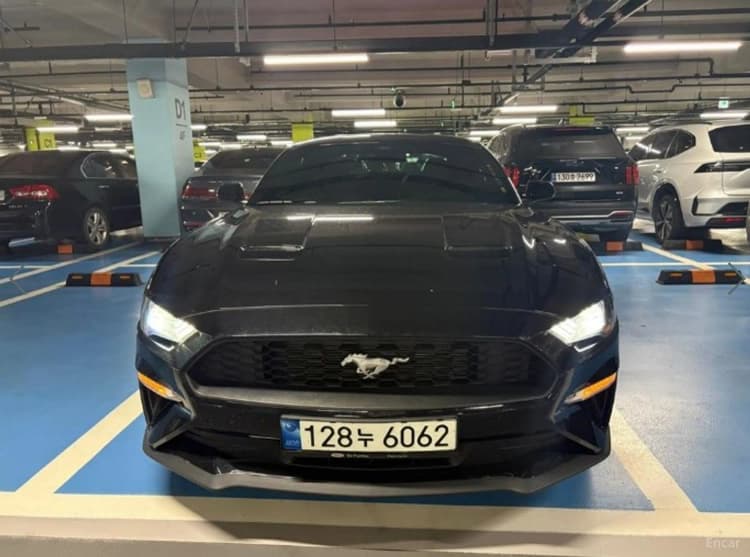 Mustang