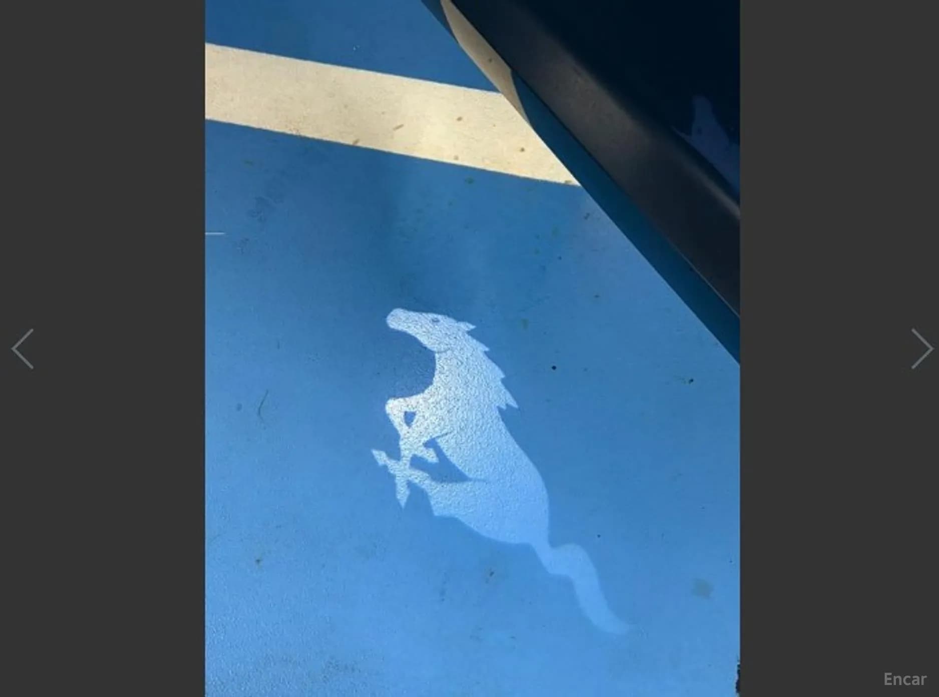 Mustang